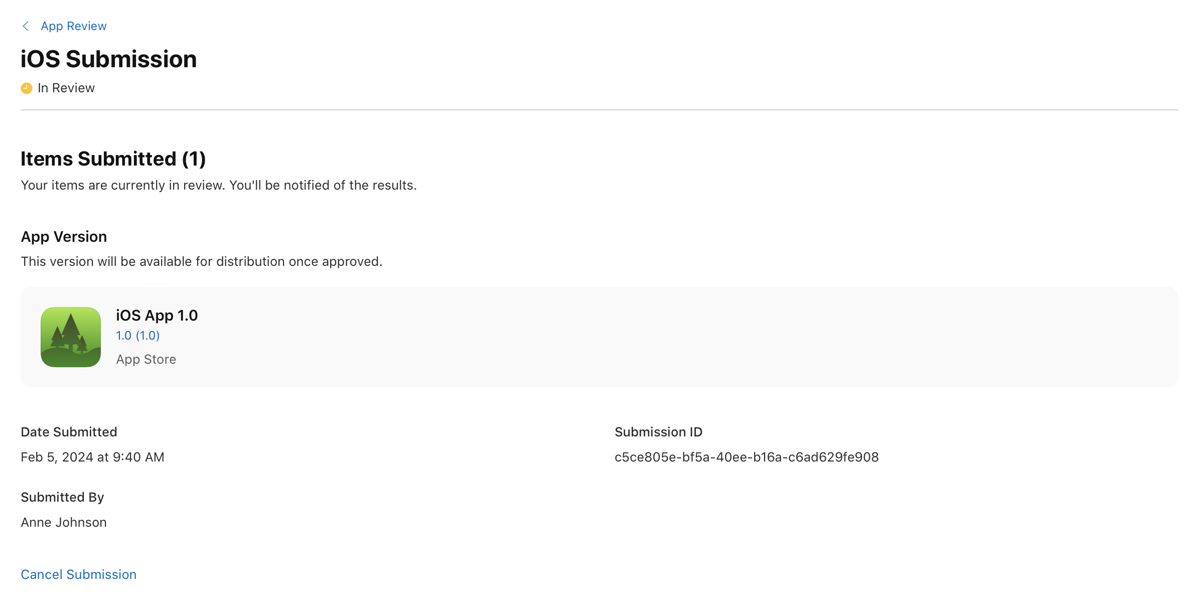 截屏为“iOS 提交”页面,其中“已提交项目”部分列出了已提交的 App 版本,共 1 项。页面左下角有一个链接,点按即可取消提交。